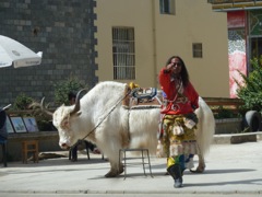 Françoise et Alain - Circuit au Yunnan - Septembre 2014 (12 jours)